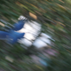 Image for article titled Motion Gallery 2
